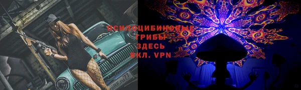крисы Абдулино