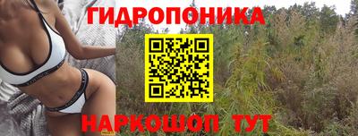 jwh Ставрополь