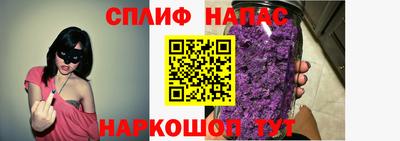 jwh Ставрополь