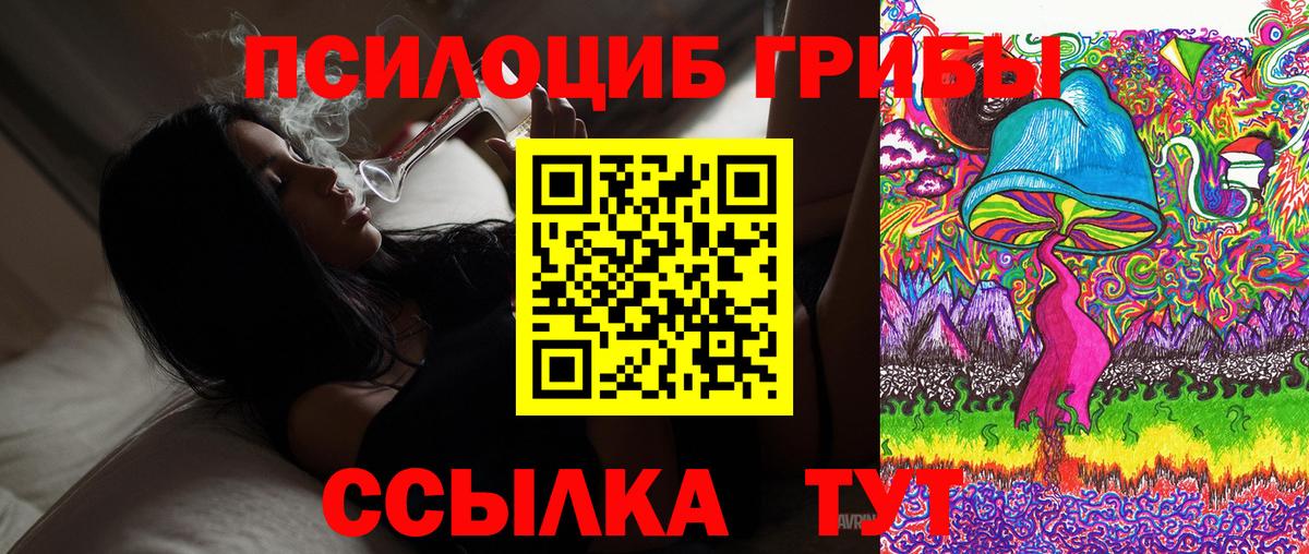 купить наркотик  Галлюциногенные грибы мицелий  Ржев  Вход с VPN  Галлюциногенные грибы Psilocybe 